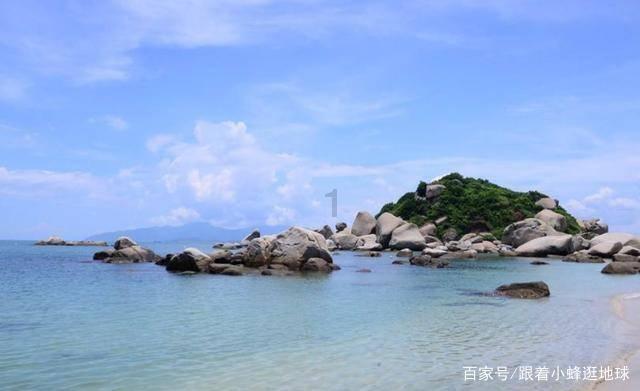 杭州一男子家中屋顶漏水，爬上楼顶发现竟有个私家花园